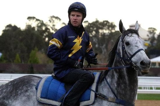 Chautauqua Jumps With The Field At Flemington